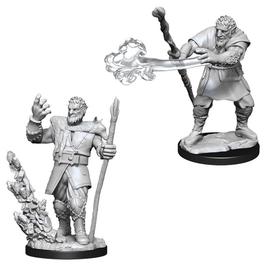 D&D  Nolzur’s Marvelous Miniatures: Firbolg Druid